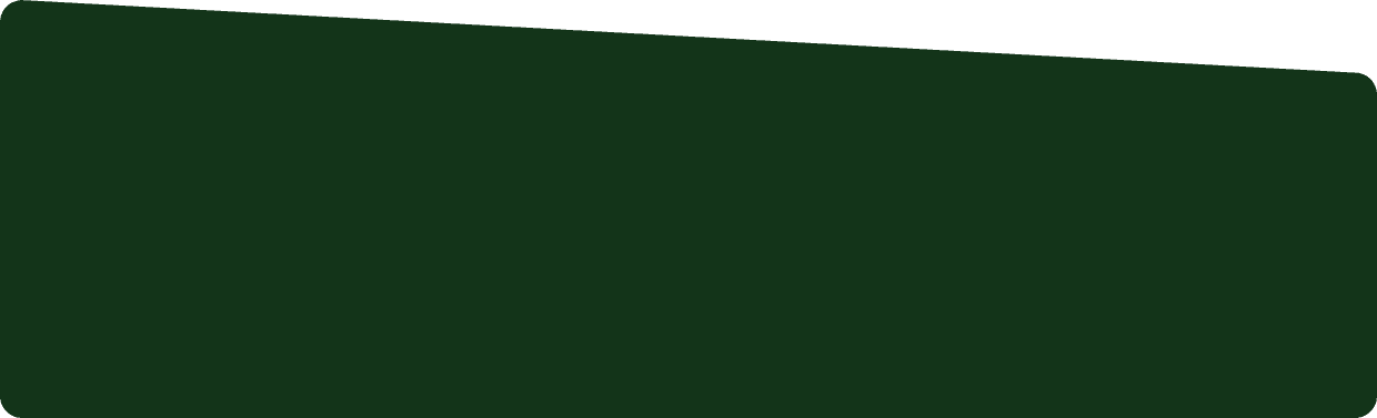 newsletter cover